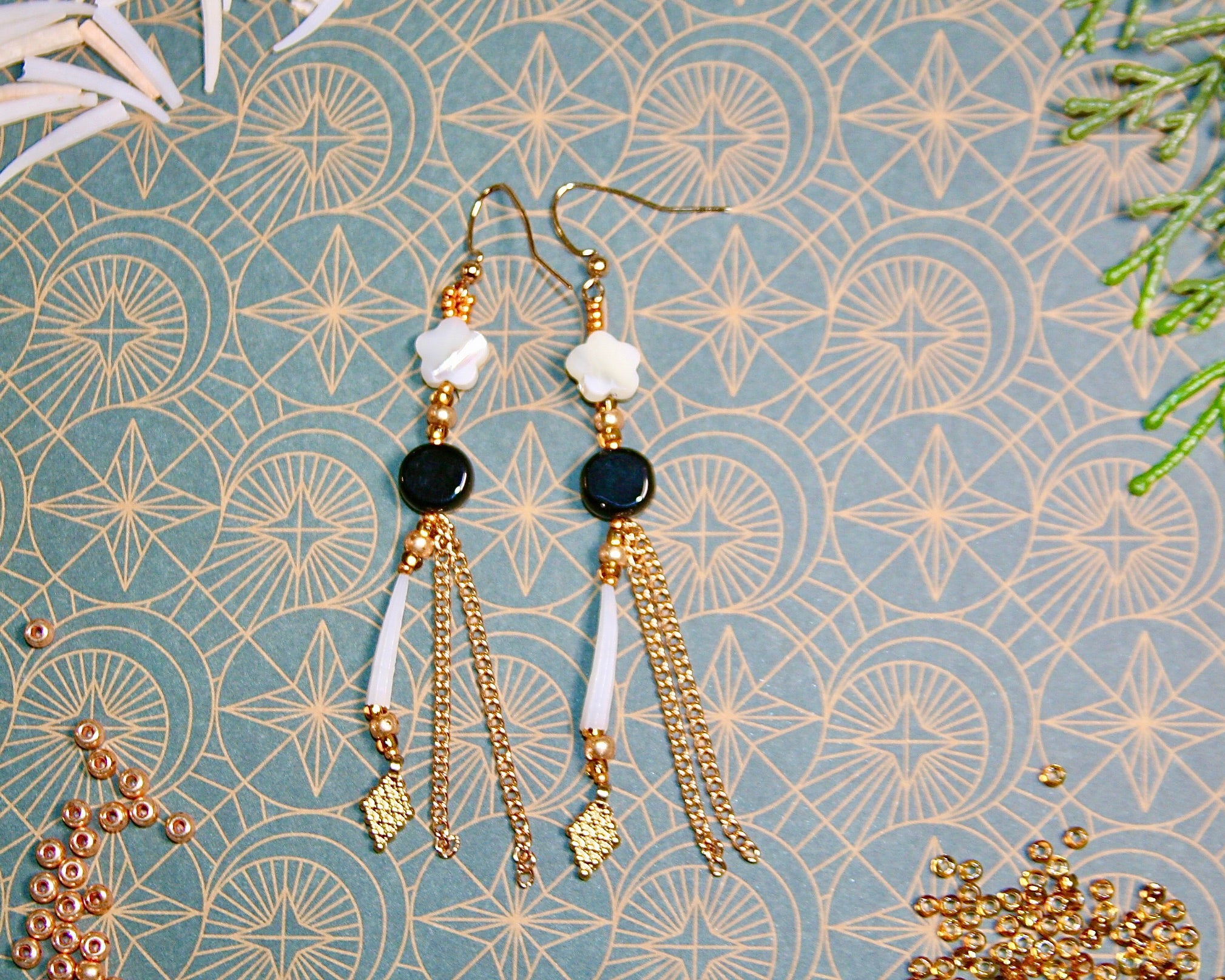 Shadow & Shell IV (1 of 1)