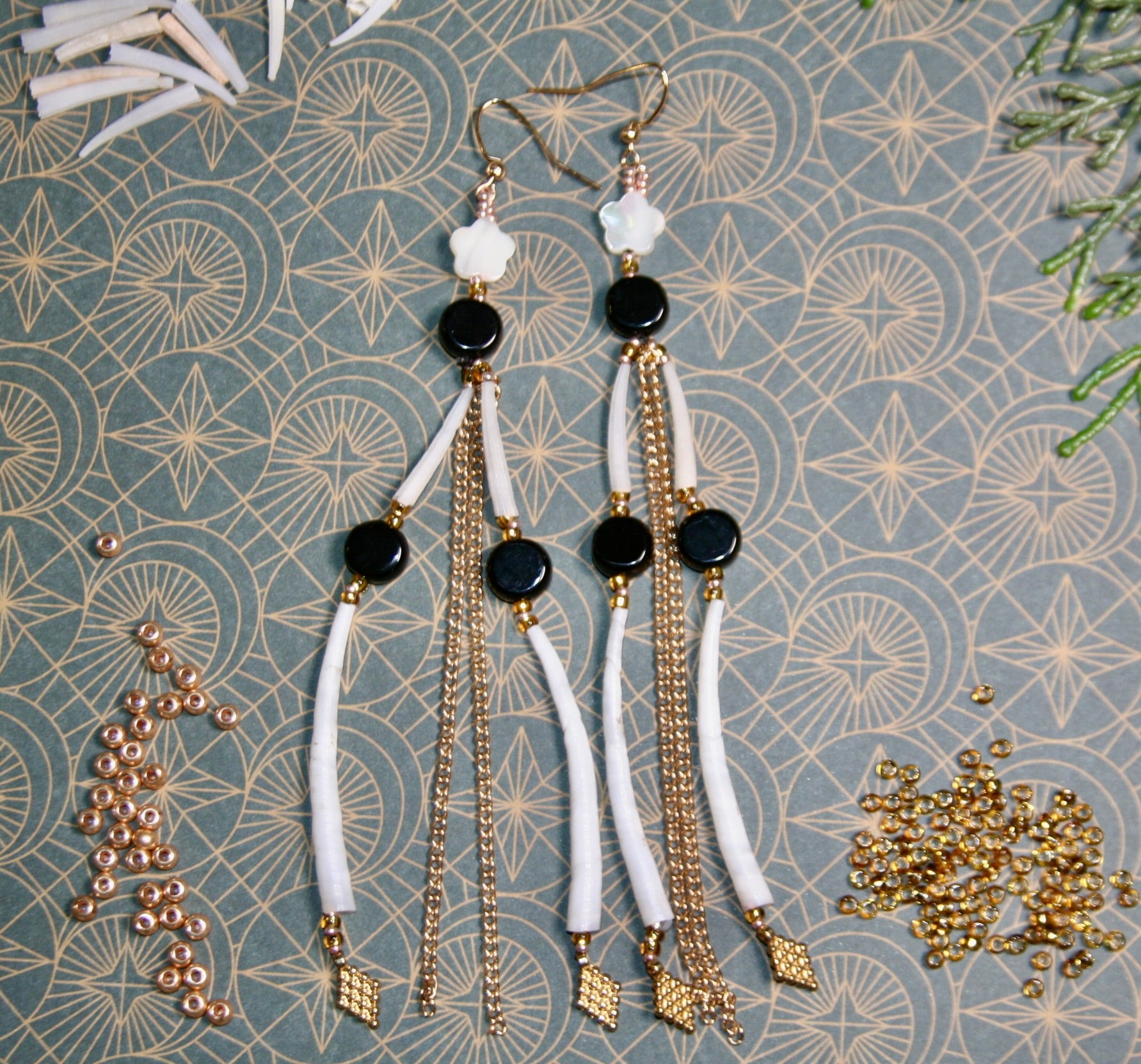 Shadow & Shell III (1 of 1)