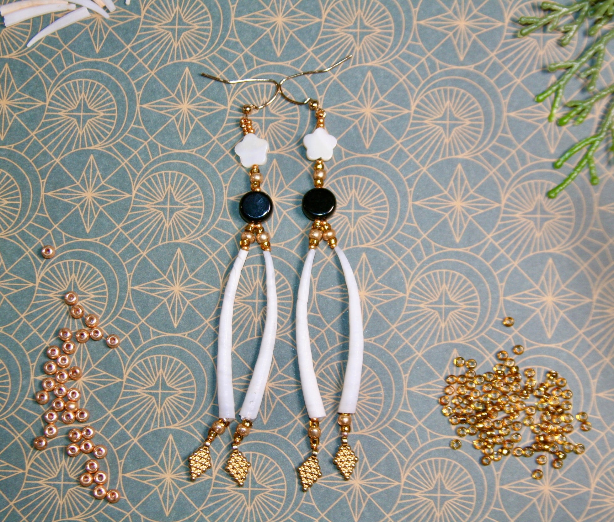 Shadow & Shell I (1 of 1)